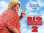 Big Mama House 2