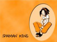 ชาแมน คิง