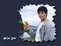 Won Bin