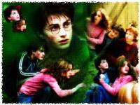 HARRY  POTTER