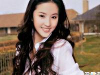 Lui yi fei
