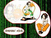 shaman king