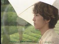 SSH in summer scent