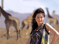 Kim Tae Hee