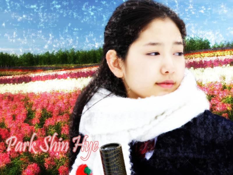 Park Shin Hye 1