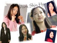 Park Shin Hye