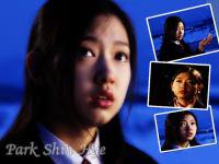 Park Shin Hye