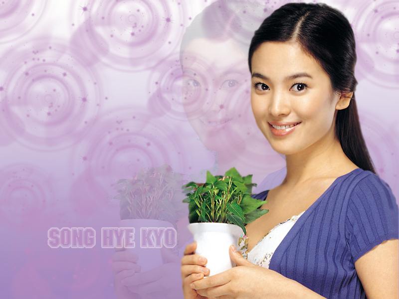 song hye kyo wallpaper. song hye kyo wallpaper.