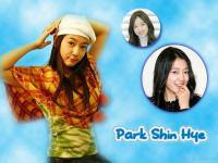 Park Shin Hye