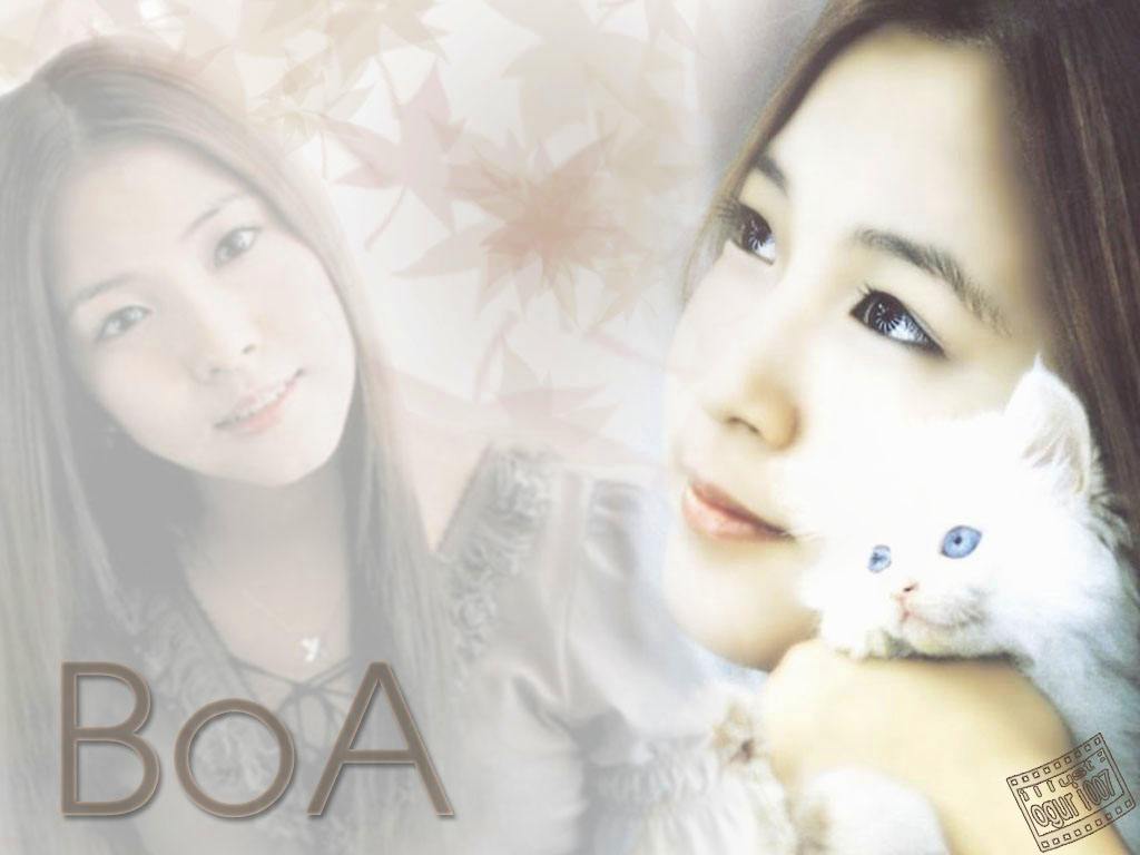 Boa Wallpapers