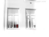 red window