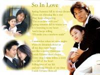 Love Story in Harvard