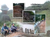 การต่อสู้กับน้ำ