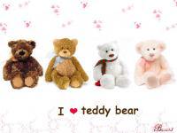 teddy bear 4 u