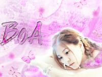 BOA (โบอา)