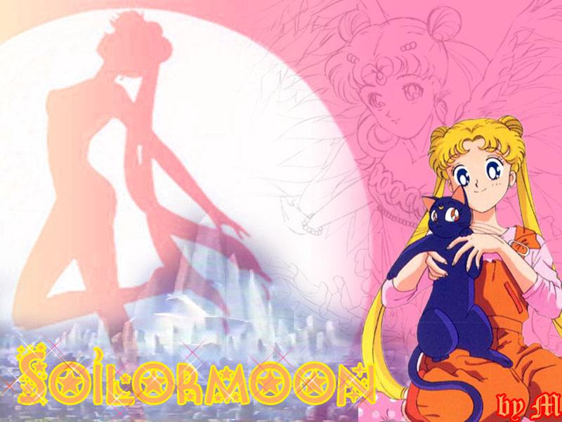 sailor moon wallpaper. sailor moon wallpaper.