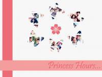 Princess Hours