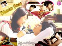 princess hours