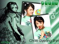 Shin Chae Gyung_Vol_1