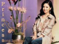 Princess hye kyo