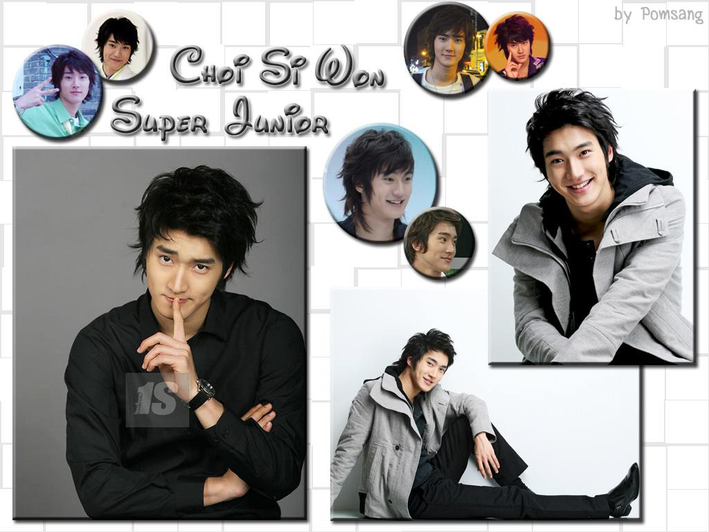 Choi Siwon Background