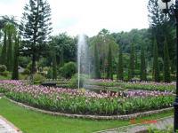 สวน
