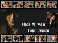 Choi Siwon - Super junior