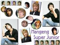 Han-Geng