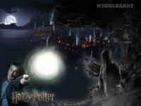 Harry Potter / 01