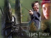 Harry Potter / 02