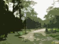 Park