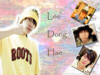 Lee dong hae