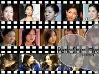 Park Shin Hye