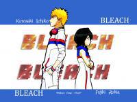 BLEACH