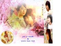 princess hours