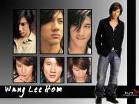 Wang Lee Hom