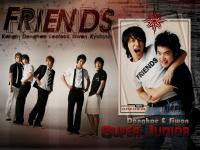 Friends SJ
