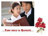 Love  story  in Harvard