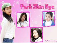 Park Shin Hye