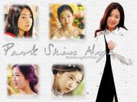 Park Shin Hye No.1