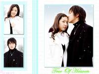 Tree Of Heaven ^_^