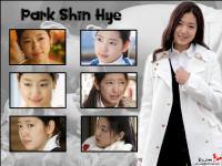 Park_Shin_Hye