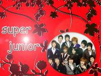 super junior