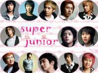 love sj