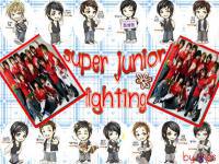super junior fighting