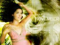 Calendar : 2008 : Actress : November