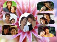 song hye kyo and bi rain