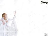 Xing Vol.I