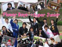 Flower Boys -- Super Junior