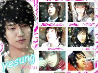 ~::HBD TO YESUNG::~